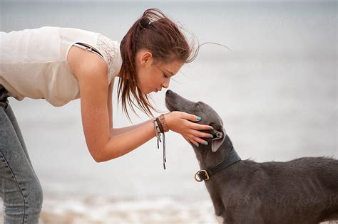 Dog and beautiful girl lovely kissing